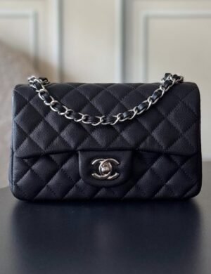 Chanel Classic Flap Bag - Image 1
