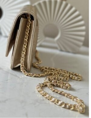 Chanel Chain Wallet Bag - Image 4
