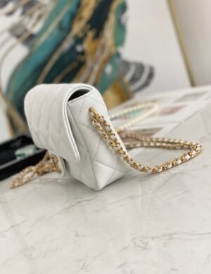 Chanel Quilted Vanity Crossbody Bag - Image 1