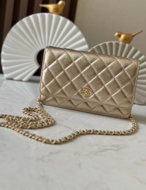 Chanel Chain Wallet Bag - Image 1
