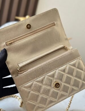 Chanel Chain Wallet Bag - Image 5